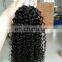 Market Cheap Curly Weave Human Hair Virgin Brazilian Afro Kinky Human Hair for Braiding