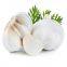 In 2021 China shandong fresh garlic 5 cm