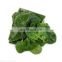 Spinacia oleracea Mill cheap healthy vegetables 2021 new crop food planet hot selling iqf frozen spinach
