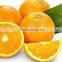99.0% min perfumery Tangerine peel oil104-55-2