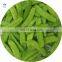 High Quality IQF Snow Peas Frozen Peapods