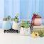 Best Selling Succulent Plants Faux Plastic FakeFlowers Mini Artificial Succulents In Pots