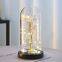 Galaxy Red Blue Light up 24K Gold Rose in Glass Dome Preserved Artificial Flower for Valentines Mothers Gift Bulk
