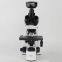 Entry-level Biological microscope ML11