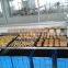 high quality automatic biscuit making machine