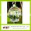 curved wedding decorative flower cage metal decorative birdcages chinese bird cage                        
                                                Quality Choice