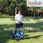 China Self Balancing Electric Chariot,Self Charging Electric Robotic Mover