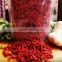 Lycii fructus,Gouqi zi/Ningxia Goji wolfberry Premium Grade Dried Goji berries/Boxthorn/Dried Health Chinese Wolfberry nutrition