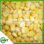 Sweet Corn Kernels