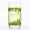 2016 Chinese new premium weight loss green tea