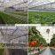 Versatile multi span poly film Greenhouse for Hydroponic NFT and Soilless systems