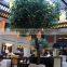 Restuarant Decor Fake Palm Tree