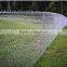 2015 hot sale high quality galvanized chain link fence with low price