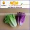 Wholesale high quality fake vegetable model for home decoration