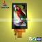 5.0 inch capacitive screen panel 480*854, ILI9806E,3SPI+16/18/24bit RGB interface, high brightness,full viewing angle IPS LCD