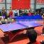 High quality low price table tennis table