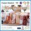 015 New Pattern Wholesale 100%Polyester Microfiber Coral Fleece Travel Blanket