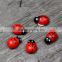 462704 Gifts & Crafts Red Lady Bug Moss micro landscape resin Of Lady Bug Decorations For Bonsai Plants