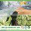 pp spunbond nonwoven fabric weed control agriculture cover