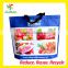 Lead Free Insulated Thermal Food Carry Bag Large Food Storage Bags