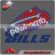 Hot Saling Hotfix Patriots Rhinestone Transfer Wholesale Vinyl Hologram for Apparel