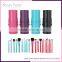 Cosmetics Makeup Brush Set 12pcs Per set Private Label Makeup Brush Set