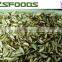 China IQF Frozen Shiitake Mushroom Slices/Cuts/Whole