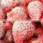 FROZEN STRAWBERRY