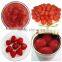 shadnong high quality and sweet canned strawberry in syrup