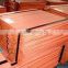high quality copper cathode hot sale (B36)