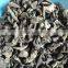 Dried Black Fungus, Dried wood ear Mushroom, Black Agaric