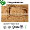100% Pure Ginger Extract Powder for Sale