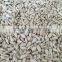 sunflower seeds kernel confectionery grade&bakery grade