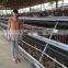 TAIYU Chicken Laying Cage Types of Poultry House