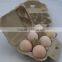 High quality customized colored egg cartons wholesale
