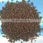 dap fertilizer in nitrogen fertilizer