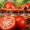 CE best selling commercial fruit and vegetable grinding machine