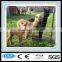 galvanized iron wire horse/sheep/cattle/deer/cow fence panel(ISO Certification)