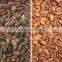 Best selling cacao beans color sorter price