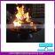 2017 popular  outdoor cast iron wood burning fire pit