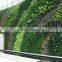 2015 High Quality Factory price Plastic/Artificial Plant Wall decorative wall hanging