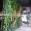2017 Hot sale SJZWQ-08 artificial plastic living green wall