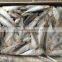 Factory Directly frozen sardinella With Bottom Price