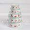 Special decor enamel storage bowl set with round bottom