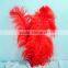 Wholesale elegant Ostrich feather shape 50-55cm latest Wedding Party decoration