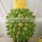 Best selling CE customed Durian mascot costume for adults
