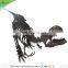 KAWAH Indoor Museum Original Size Fiberglass Artificial Dinosaur Fossils for Sale