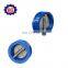 dn100 pn16 check valve