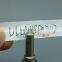 ERIKC DLLA 118P2203 fuel delivery nozzle 0 433 172 040 , DLLA 118 P2203 manufacture nozzle DLLA 118P 2203 for 0445120236