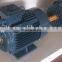 IEC Standard Y2 Three Phase Electric Water Pump Motor Price